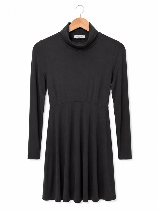 Seraphine Dresses & Skirts - Seraphine Black Turtleneck Long Sleeve Dress Maternity Petite US 4 Classic